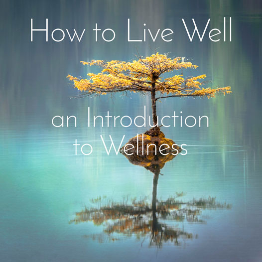 How to Live Well : an Introduction to Wellness